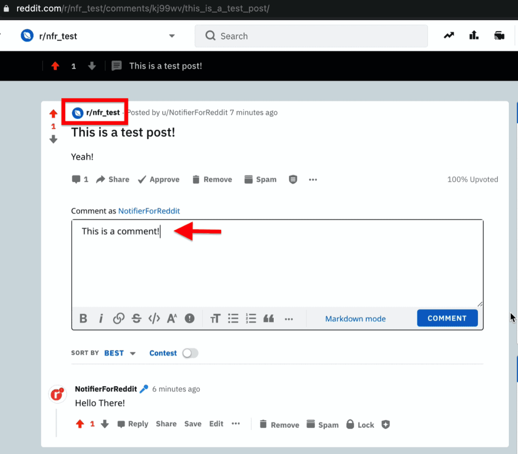 A post previously created using a test subreddit to show how to make comments on a Reddit post